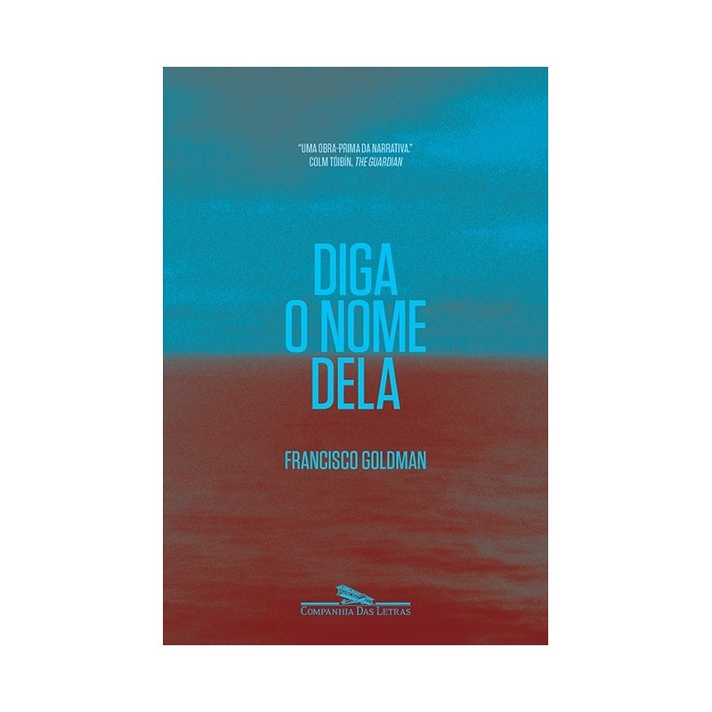 Diga O Nome Dela - Francisco Goldman