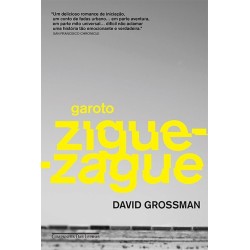 Garoto Zigue-zague - David...