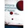 Sinuca Embaixo D Agua