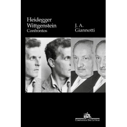 Heidegger/ Wittgenstein -...