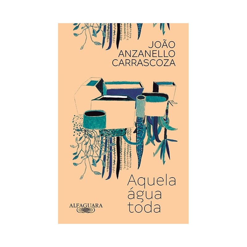 Aquela Água Toda - João Luis Anzanello Carrascoza