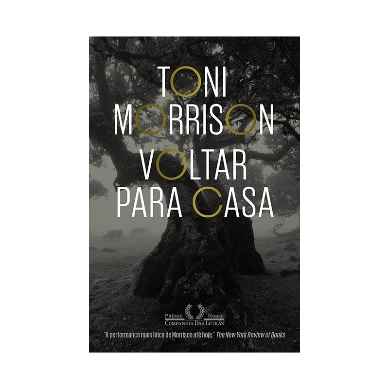 Voltar Para Casa - Toni Morrison